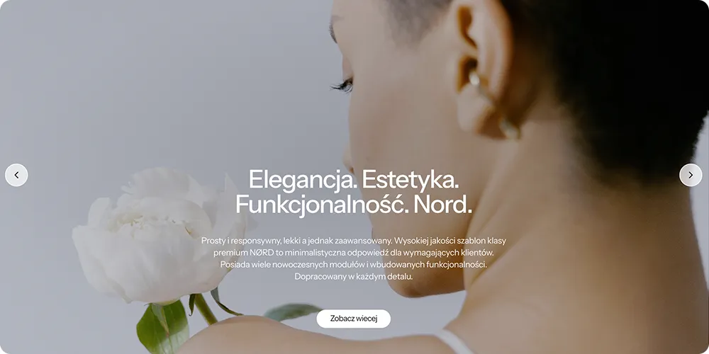 profesjonalny slider shoper