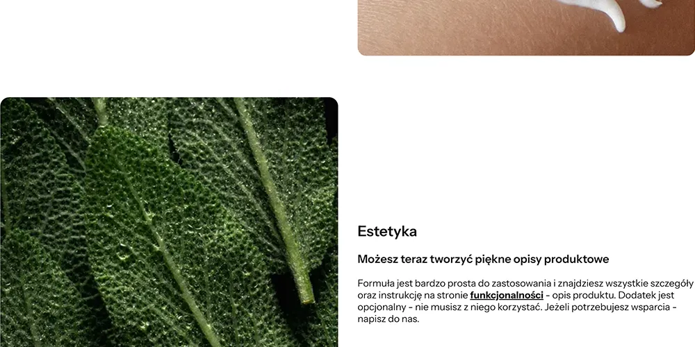 układ kolumnowy shoper